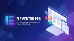 خرید افزونه المنتور پرو اورجینال